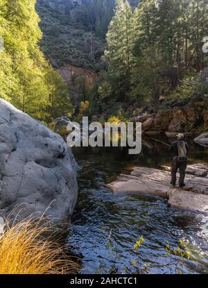 La pesca con la mosca Oak Creek, Oak Creek Canyon Sedona, in Arizona Foto Stock