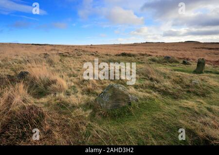 Vista su Barbrook 1 cerchio di pietra, Ramsley Big Moor, Parco Nazionale di Peak District, Derbyshire, England, Regno Unito Foto Stock