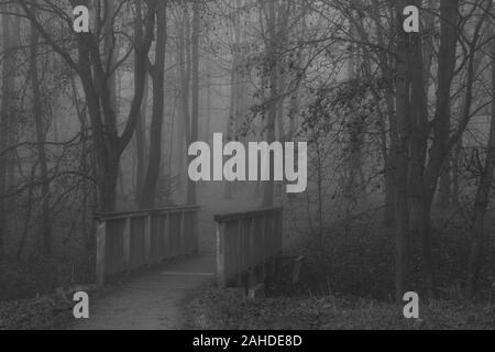 Piccolo sentiero che conduce in un misterioso forrest su una mattinata nebbiosa Foto Stock