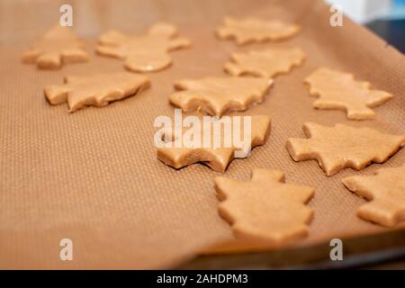 Non finita gingerbread cookie sotto forma di alberi di Natale giacciono sulla carta da forno di close-up. Messa a fuoco selettiva, colori caldi. Foto Stock