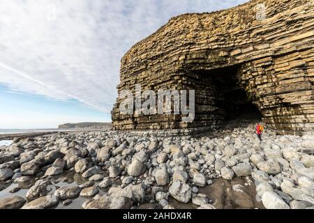 Reynard della grotta a Tresilian Bay su hte Glamorgan Heritage Coast, Wales, Regno Unito Foto Stock