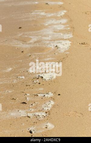 Flotsam su Gamboa Beach Peniche Estremadura Portogallo Foto Stock