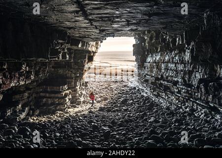 Reynard della grotta a Tresilian Bay in Glamorgan Heritage Coast a piedi, Wales, Regno Unito Foto Stock