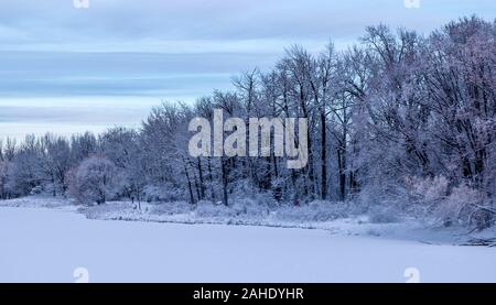 Caduta di neve fresca. Foto Stock