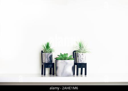 Raccolta di marmo succulente geometrica piantatrici con bellissimo piccolo le piante succulente sul ripiano bianco contro il muro bianco. Lifestyle home decoration Foto Stock