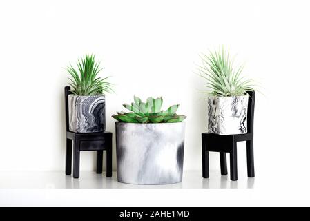 Raccolta di marmo succulente geometrica piantatrici con bellissimo piccolo le piante succulente sul ripiano bianco contro il muro bianco. Lifestyle home decoration Foto Stock