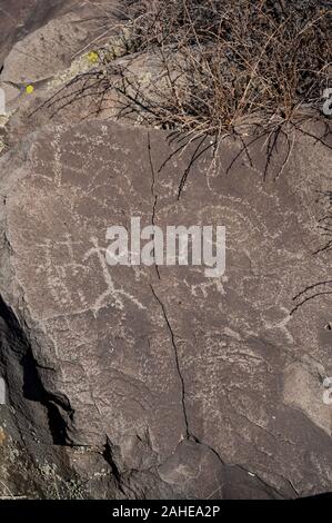 Incisioni rupestri ( immagine su pietra ) realizzato dai nativi americani del Nord Sinagua in Picture Canyon, Flagstaff, in Arizona, Stati Uniti d'America Foto Stock