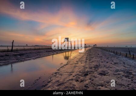 La mattina in Dong Chau Beach, Tien hai district, Thai Binh provincia, questo è uno dei più grandi farm Clam del Vietnam per il mercato nazionale e di esportazione Viet Foto Stock