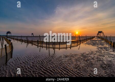 La mattina in Dong Chau Beach, Tien hai district, Thai Binh provincia, questo è uno dei più grandi farm Clam del Vietnam per il mercato nazionale e di esportazione Viet Foto Stock