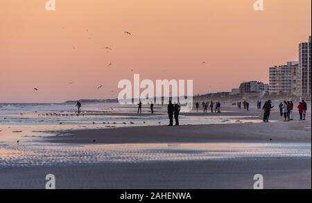 Spiaggia di Jacksonville, Florida prima del sorgere del sole. (USA) Foto Stock