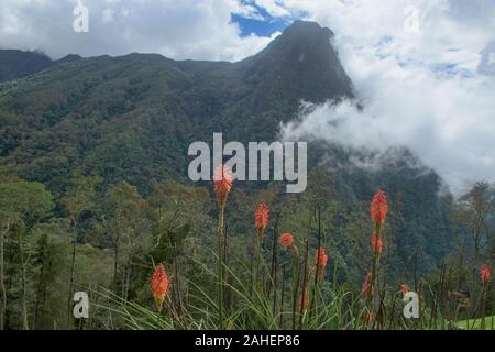 Nuvole di laminazione a valle Cocora, Salento, Colombia Foto Stock