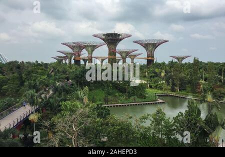 Singapore - Lug 4, 2015. Supertree Grove a giardini dall'alloggiamento. Supertree è diventato uno dei più celebri e riconoscibili le attrazioni di Singapore. Foto Stock