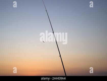 Canna da pesca con pesci piccoli sul Cielo di tramonto sullo sfondo. Foto Stock