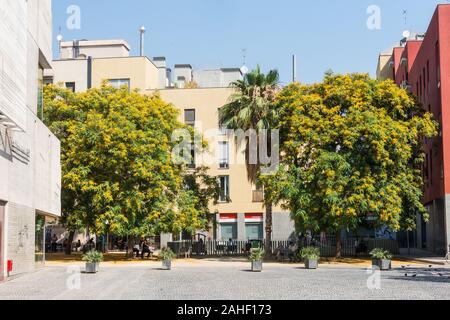 Barcellona - luglio 3, 2019: facciata della Filmoteca della Catalogna, Archivio film, cinema, sale espositive e la libreria in El Raval di Barcellona. Salv Foto Stock