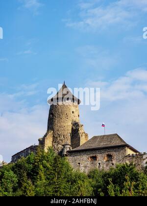 Il castello di Stara Lubovna, Regione di Presov, Slovacchia Foto Stock