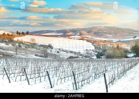 Vigneti righe coperta di neve in inverno al tramonto. Chianti Campagna, Siena, Toscana, Italia Foto Stock