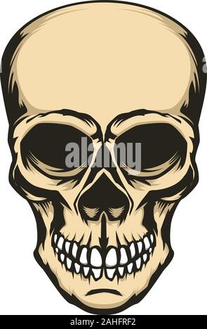 Illustrazione del cranio isolato su sfondo bianco. Elemento di design per il logo, marchio, segno. Illustrazione Vettoriale Illustrazione Vettoriale
