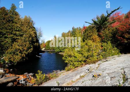 Paesaggio autunnale paesaggio che mostra natura coloratissima scena foglie multicolore con il fiume, cielo blu e nuvole e un uccello in volo sopra il fiume. Foto Stock