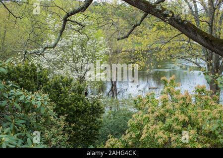 Intorno a questo angolo è Old North Bridge. Quasi 16 miglia lungo e viaggia attraverso 8 città e 1 città. Il Concord spartiacque si trova nel Middlesex County Foto Stock