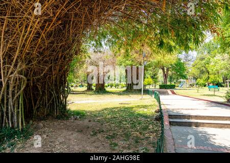 Islamabad bambini giapponesi parco pittoresco panorama mozzafiato di alberi su un soleggiato Blue Sky giorno Foto Stock