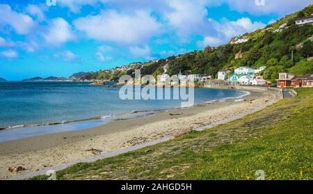 Vista pittoresca su Karaka Bay e bruciante Bay a Wellington, Isola del nord, Nuova Zelanda Foto Stock