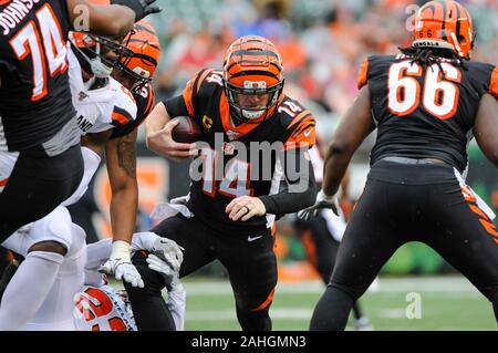 Dicembre 29, 2019: q14 esegue la palla durante una partita tra i Cleveland Browns e Cincinnati Bengals a Paul Brown Stadium il 29 dicembre 2019 a Cincinnati, OH. Dorn Byg/CSM Foto Stock