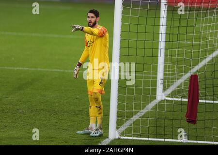 Swansea, Regno Unito. 29 Dic, 2019. Barnsley portiere Samuel Radlinger guarda.EFL Skybet partita in campionato, Swansea City v Barnsley al Liberty Stadium di Swansea, Galles del Sud domenica 29 dicembre 2019. Questa immagine può essere utilizzata solo per scopi editoriali. Solo uso editoriale, è richiesta una licenza per uso commerciale. Nessun uso in scommesse, giochi o un singolo giocatore/club/league pubblicazioni. pic da Andrew Orchard/Andrew Orchard fotografia sportiva/Alamy Live news Credito: Andrew Orchard fotografia sportiva/Alamy Live News Foto Stock