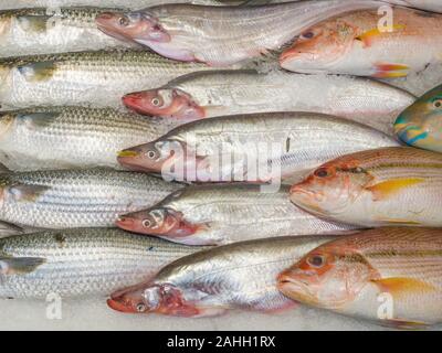Pesce fresco sul ghiaccio in corrispondenza del supermercato Foto Stock