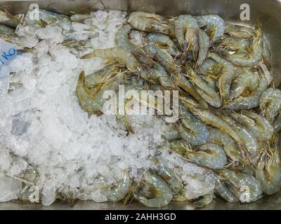 Pila di gamberetti congelati su ghiaccio al mercato di frutti di mare Foto Stock