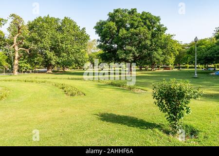 Lahore Bagh-e-Jinnah Park vista pittoresca di erba e alberi su un soleggiato Blue Sky giorno Foto Stock