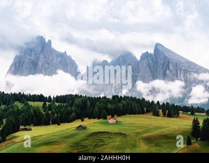 Alcune foto della bella Alpe di Siusi, Sudtirol, un luogo famoso per le vacanze, con i suoi prati, picchi di fiori e chalets di attualità. Foto Stock