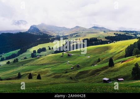 Alcune foto della bella Alpe di Siusi, Sudtirol, un luogo famoso per le vacanze, con i suoi prati, picchi di fiori e chalets di attualità. Foto Stock