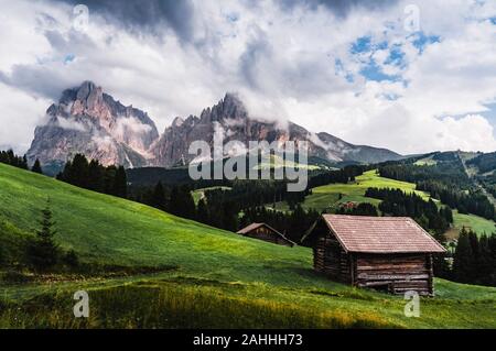 Alcune foto della bella Alpe di Siusi, Sudtirol, un luogo famoso per le vacanze, con i suoi prati, picchi di fiori e chalets di attualità. Foto Stock