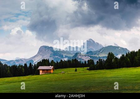 Alcune foto della bella Alpe di Siusi, Sudtirol, un luogo famoso per le vacanze, con i suoi prati, picchi di fiori e chalets di attualità. Foto Stock