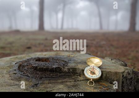 Una bussola su un tronco di legno in mezzo alla foresta di nebbia. Il concetto di orientamento Foto Stock