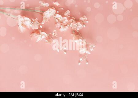 Bellissimi fiori rosa su una rosa di sfondo bokeh di fondo con una copia dello spazio per il tuo testo vista dall'alto. Lay piatto. Foto Stock