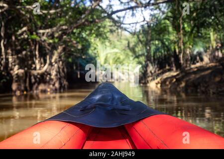 Nella parte anteriore di una barca rossa in natura, un fiume nella foresta umida circostante della radice del grande albero, nel pomeriggio di sole thru il battente di acqua surf Foto Stock