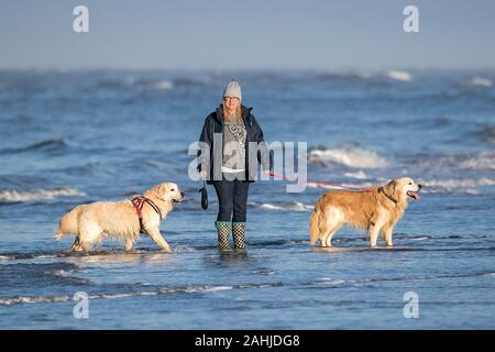 Southport, Merseyside, 30 dicembre 2019. La gente fuori di testa per un po' di divertimento al sole con i loro cani sulla spiaggia di Southport nel Merseyside. Il sole e cieli blu ha salutato i visitatori della località balneare come il mite inverno condizioni meteo continuare durante le vacanze di Natale. Credito: Cernan Elias/Alamy Live News Foto Stock