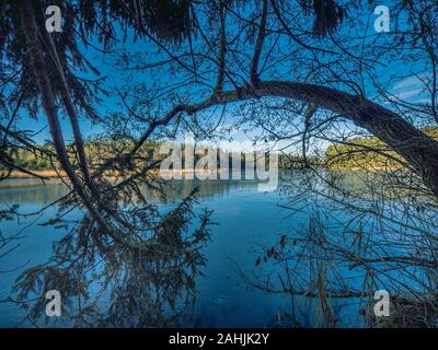 Sundaywalk intorno al Roter Weiher, Erlenmoos Rot an der Rot Germania Foto Stock