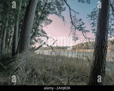 Sundaywalk intorno al Roter Weiher, Erlenmoos Rot an der Rot Germania Foto Stock