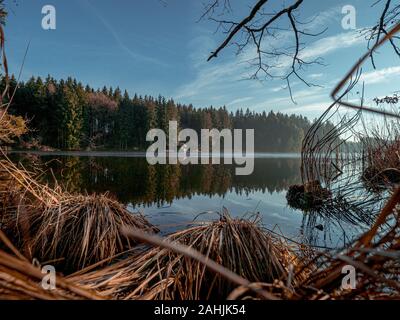 Sundaywalk intorno al Roter Weiher, Erlenmoos Rot an der Rot Germania Foto Stock