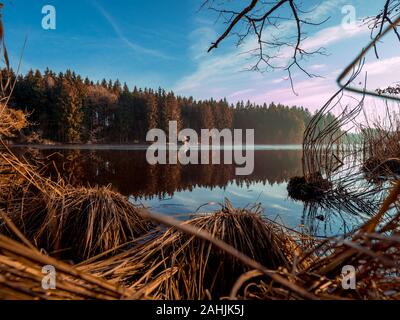 Sundaywalk intorno al Roter Weiher, Erlenmoos Rot an der Rot Germania Foto Stock