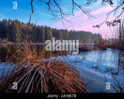 Sundaywalk intorno al Roter Weiher, Erlenmoos Rot an der Rot Germania Foto Stock