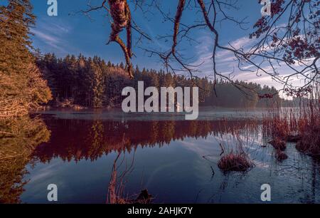 Sundaywalk intorno al Roter Weiher, Erlenmoos Rot an der Rot Germania Foto Stock