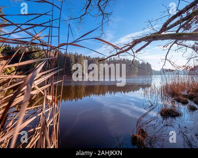 Sundaywalk intorno al Roter Weiher, Erlenmoos Rot an der Rot Germania Foto Stock