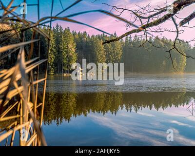 Sundaywalk intorno al Roter Weiher, Erlenmoos Rot an der Rot Germania Foto Stock