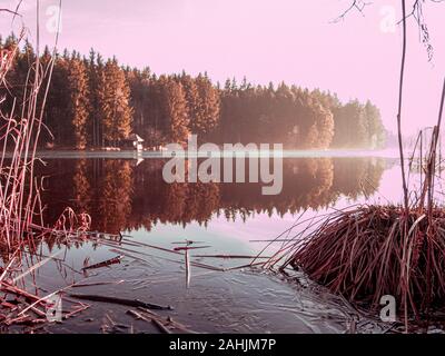 Sundaywalk intorno al Roter Weiher, Erlenmoos Rot an der Rot Germania Foto Stock