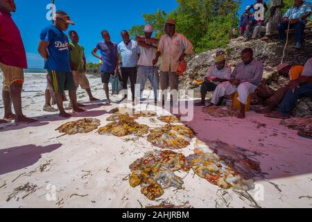 Zanzibar, Tanzania - Settembre 2019: Polpo mercato sulla costa orientale di Zanzibar Foto Stock