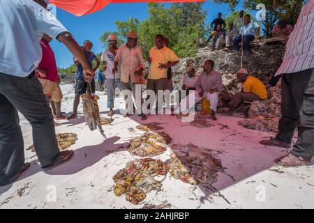 Zanzibar, Tanzania - Settembre 2019: Polpo mercato sulla costa orientale di Zanzibar Foto Stock