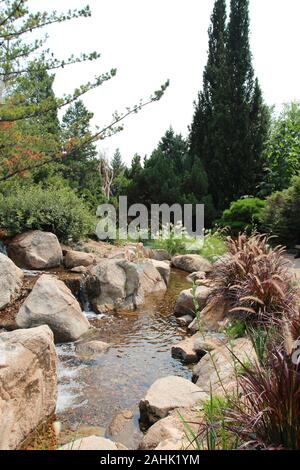 Una leggera corrente che scorre su un letto di roccia, fiancheggiata da massi, Fontana di erba, arbusti e alberi sempreverdi in Colorado, STATI UNITI D'AMERICA Foto Stock